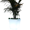 OEM Rotomoulding Mold Process Polyethylene Polygonal Flower Pot Plastic Product